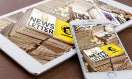 Les newsletters : êtes-vous conquis ou pas ?